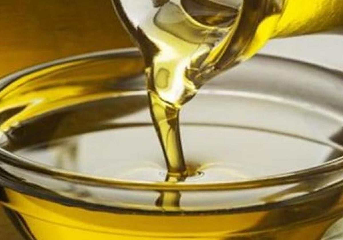 Andalucía prevé una producción de 550.600 toneladas de aceite de oliva, un 7,4% más que la anterior campaña