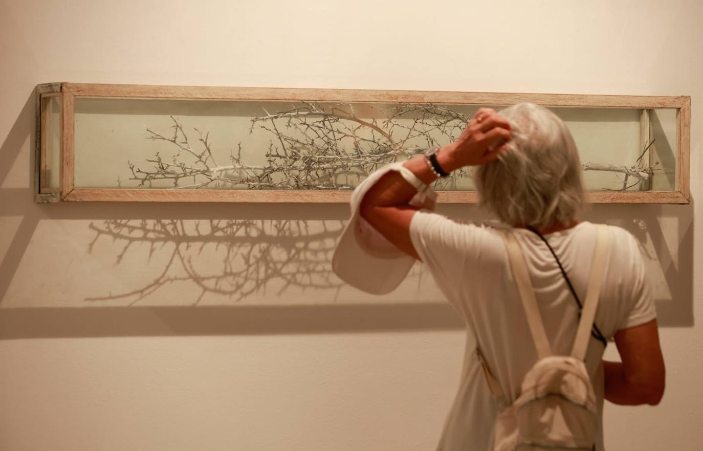 De Nueva York a La Coracha: la colección donada por Evelyn Botella se exhibe al fin en Málaga