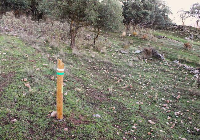 El sendero puede ser algo difuso en algún tramo, pero está bien señalizado