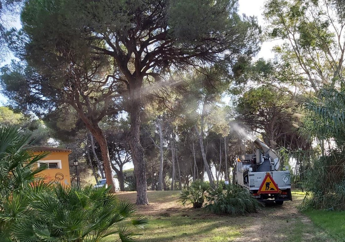 El Parque Nagüeles de Marbella cerrará el 25 y 26 de octubre para llevar a cabo tratamientos preventivos contra la procesionaria