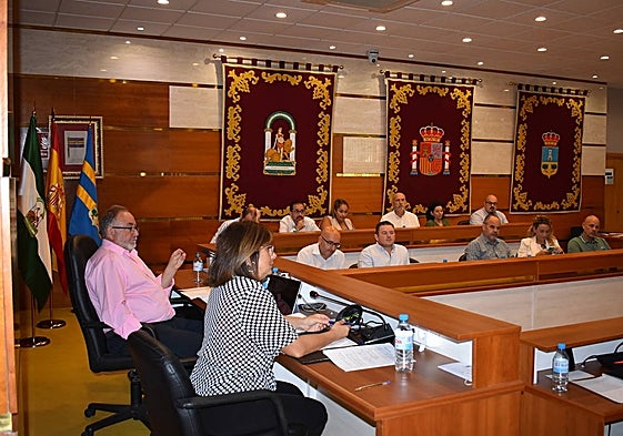 El pleno celebrado este viernes en Alhaurín de la Torre.