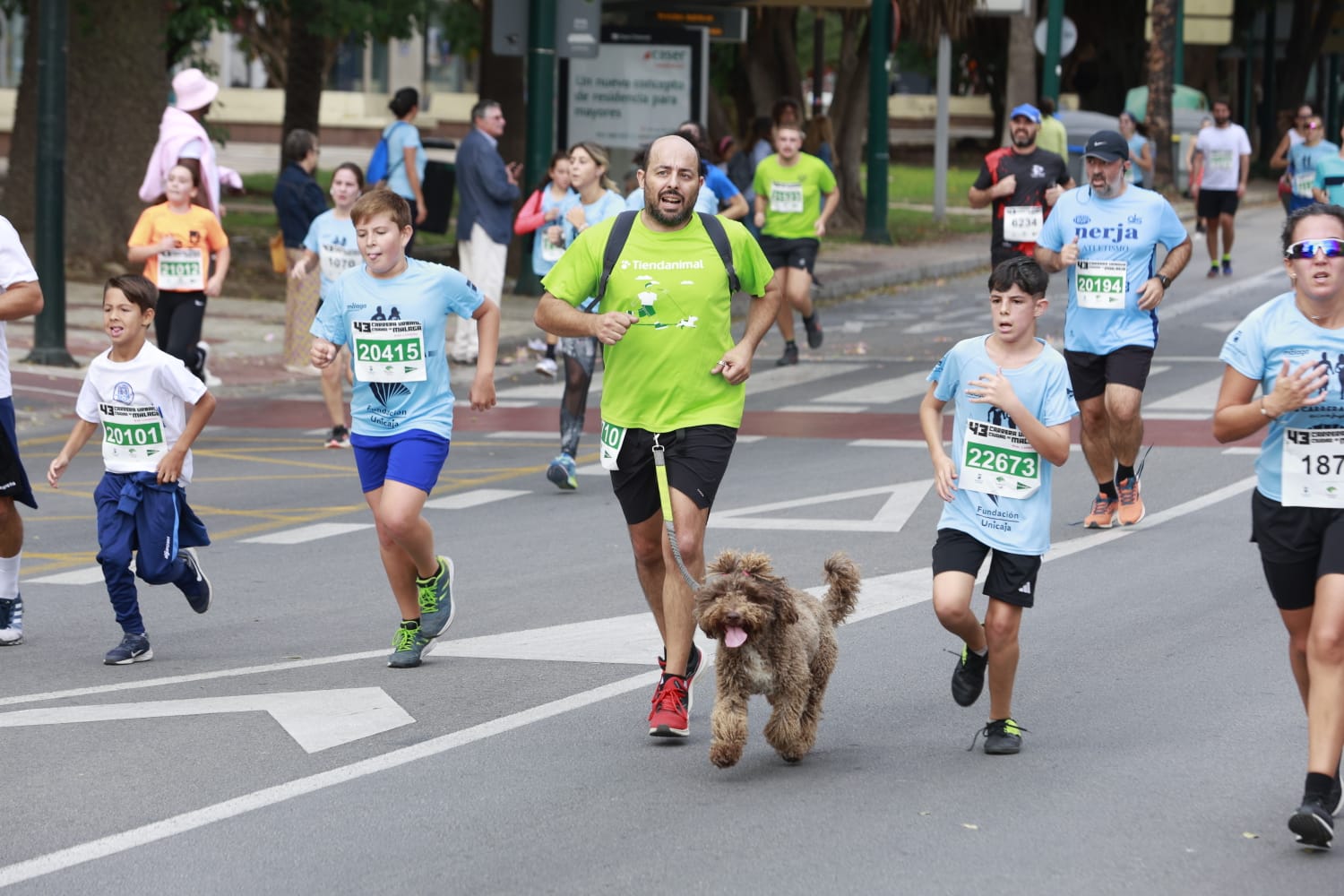 Las mejores fotos de la Carrera Urbana Ciudad de Málaga 2023