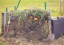 Pila de desechos para compostaje.