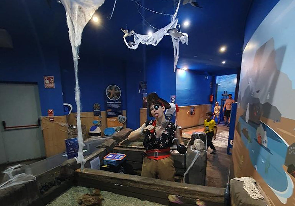 Todo preparado para celebrar Halloween en Sea Life.
