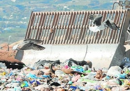 Imagen de archivo del vertedero de Los Ruices.