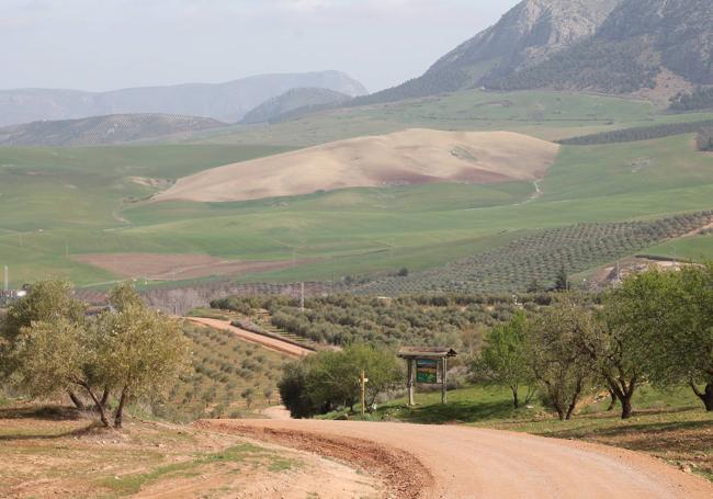 Tras pasar por el mirador del Tomillar quedan apenas unos metros para llegar a Serrato