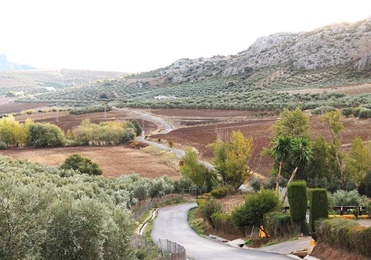 La ruta ofrece un bonito recorrido por carril ancho entre olivos y calizas