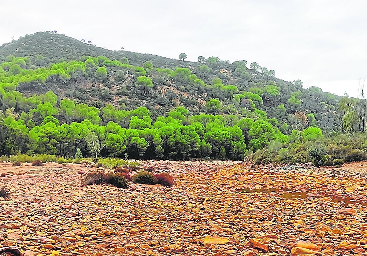 Los ríos siguen sin apenas caudal pese a las lluvias.