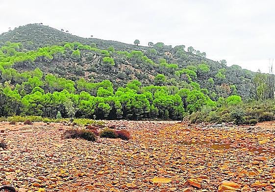 Los ríos siguen sin apenas caudal pese a las lluvias.