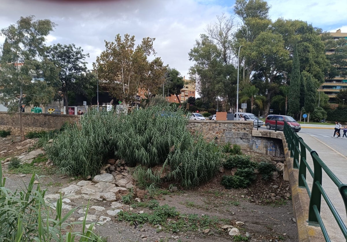 Vista de la parte del Arroyo Jaboneros denunciada.