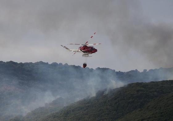 La Junta actuará sobre 5.000 hectáreas de «alto valor ecológico» para prevenir incendios forestales