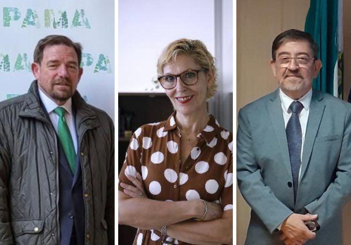 De izquierda a derecha, Luis Medina-Montoya, Beatriz Becerra y Juan Ruiz.