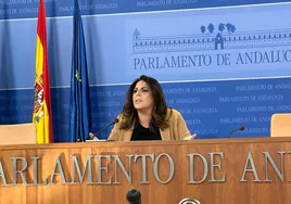 Ángeles Férriz, este miércoles en el Parlamento de Andalucía.