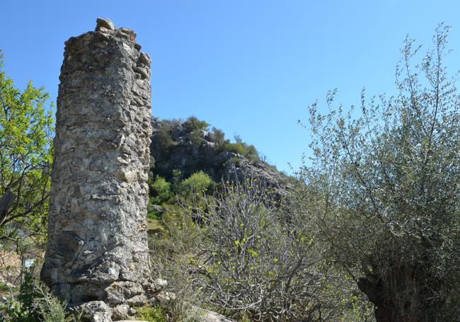 Esta picota fue concedida por Fernando VII como símbolo por la lealtad del pueblo.
