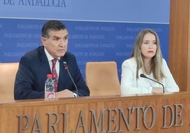 Los diputados socialistas Gaspar Llanes y Alicia Murillo.