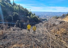 Agentes forestales sobre parte del terreno calcinado en el incendio de Mijas.