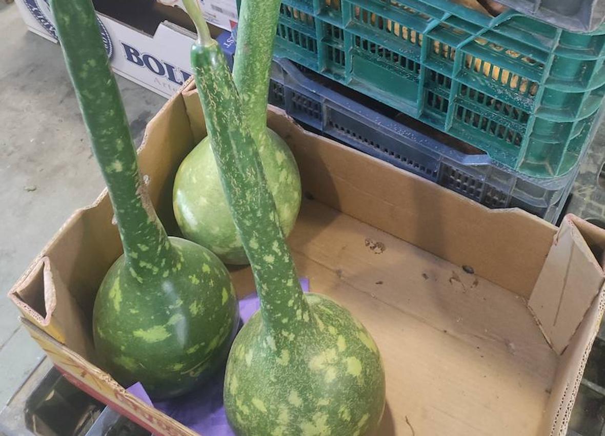 Imagen secundaria 1 - Granadas y lechugas de trocadero, distintos tipos de calabaza y por último hinojo y perejil.