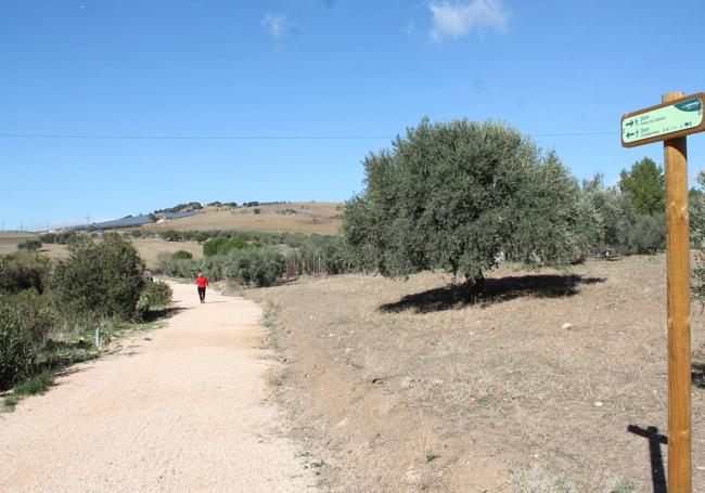 El último tramo se hará por el sendero fluvial Guadalmedina- El Alcaide