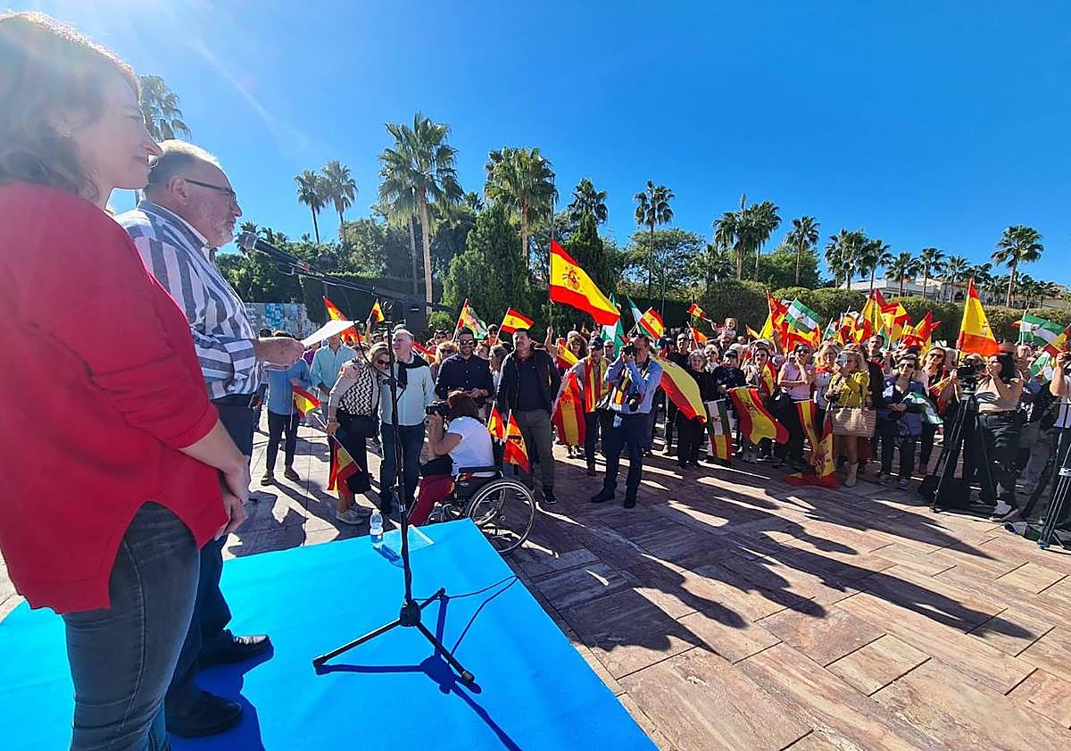 Imagen principal - Imágenes de las protestas en Alhaurín de la Torre, Ronda y Torre del Mar.