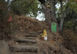 Los vecinos mayores de Cártama visitarán el bosque encantado del Valle del Genal.