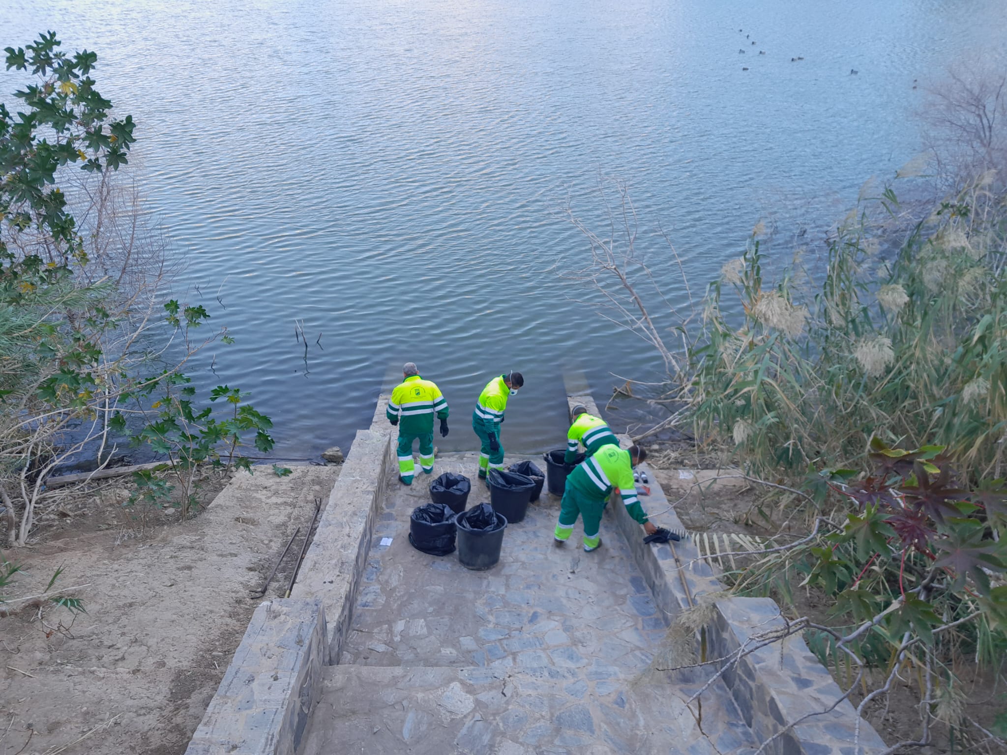 Operarios recogiendo peces.