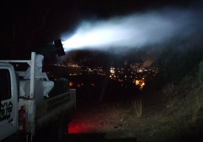 En Gibralfaro se intervendrá por la noche para evitar afecciones a una zona tan concurrida.