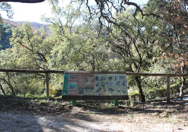 Cartel descriptivo de la avifauna