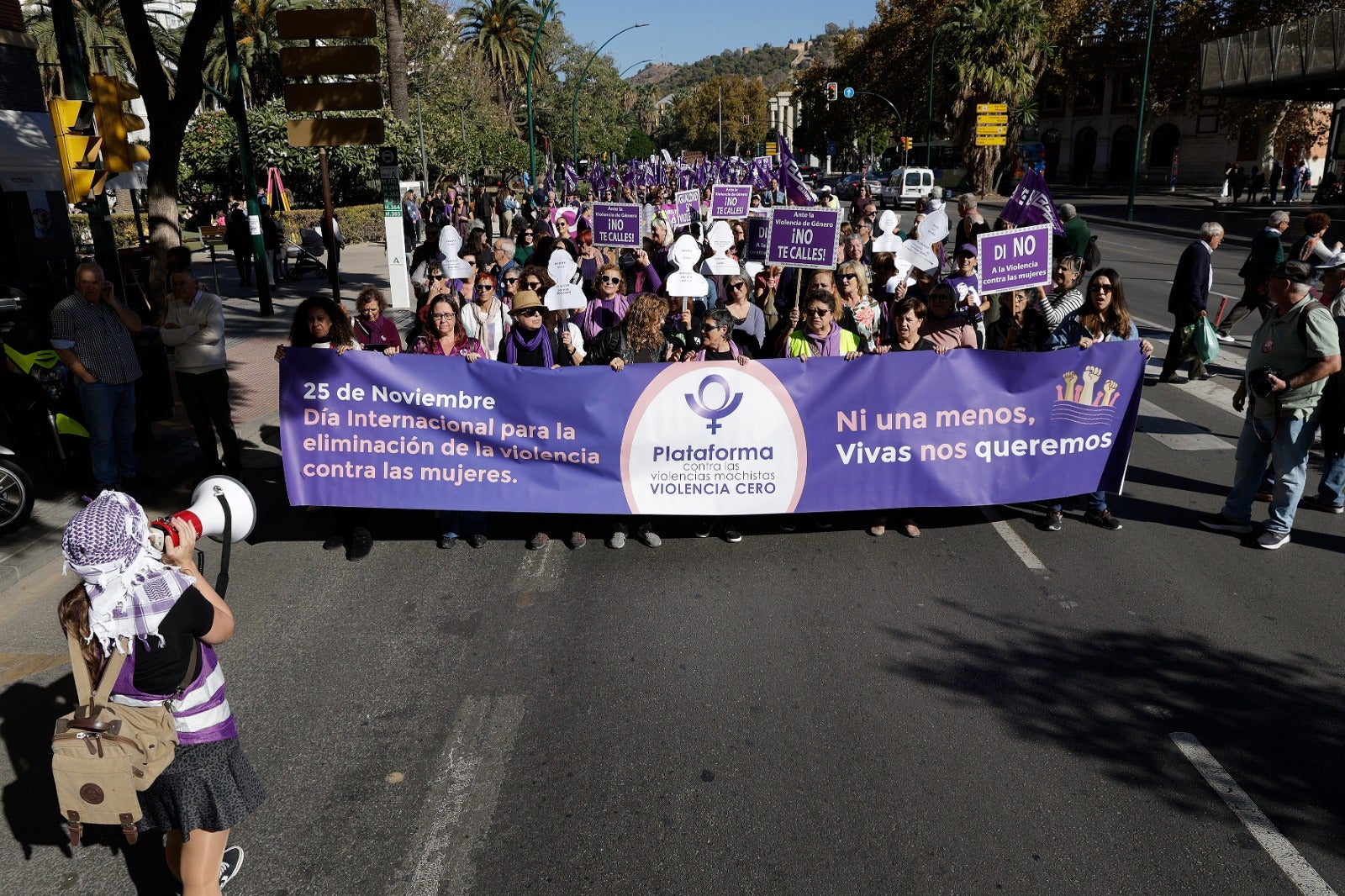 Unas 3.000 personas participan en la manifestación del 25N en Málaga