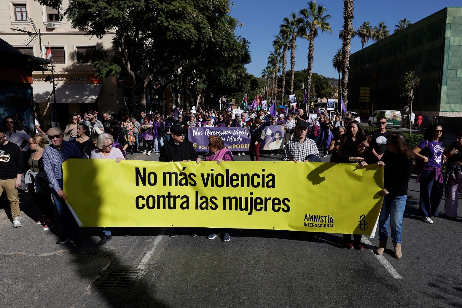 Unas 3.000 personas participan en la manifestación del 25N en Málaga