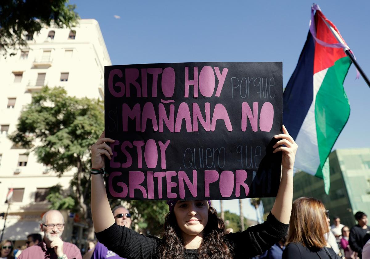 Unas 3.000 personas participan en la manifestación del 25N en Málaga