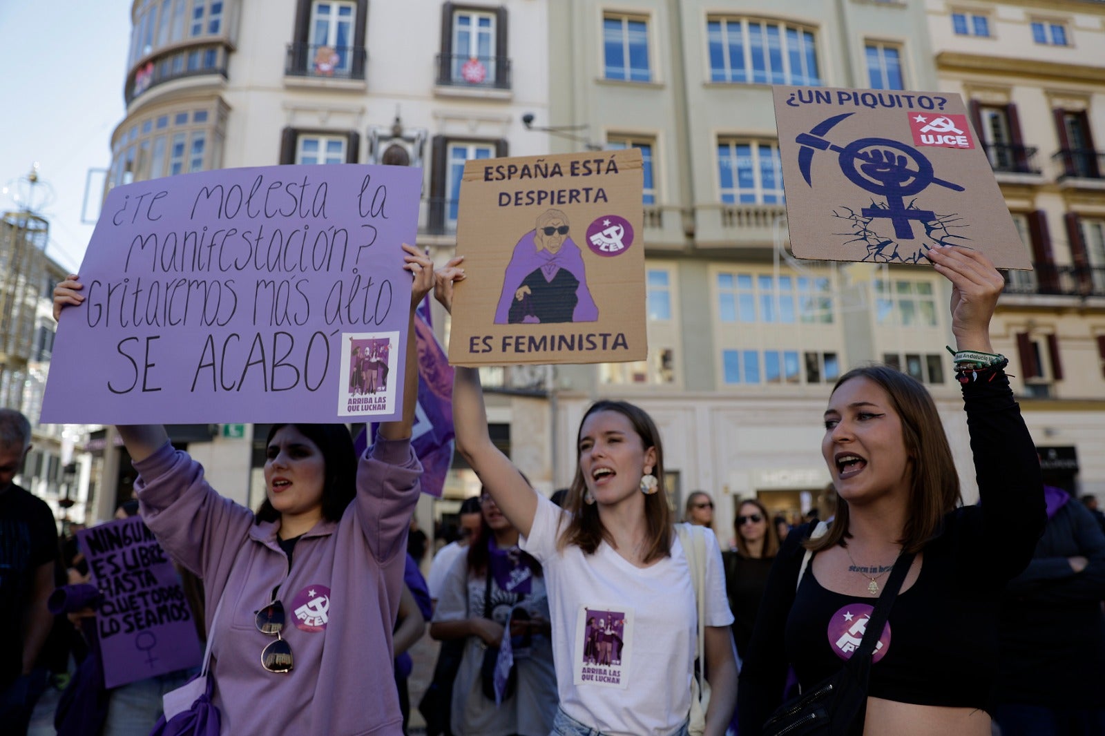 Unas 3.000 personas participan en la manifestación del 25N en Málaga