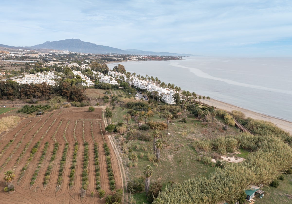 Terrenos en los que se ubicará la desaladora de Estepona, junto a la desembocadura del Castor.