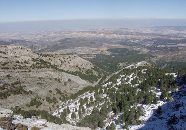 En este recorrido se atraviesan algunos bosques frondosos