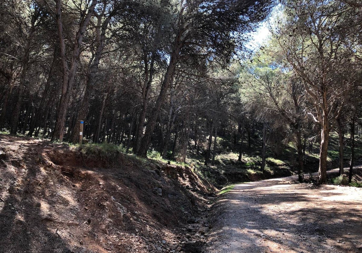 El Camino Forestal de Alhaurín el Grande.