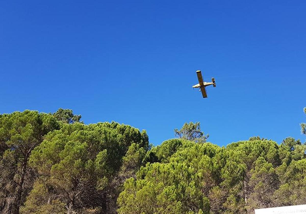 La Junta limpia más de 28.000 hectáreas con medios aéreos para hacer frente a la procesionaria del pino