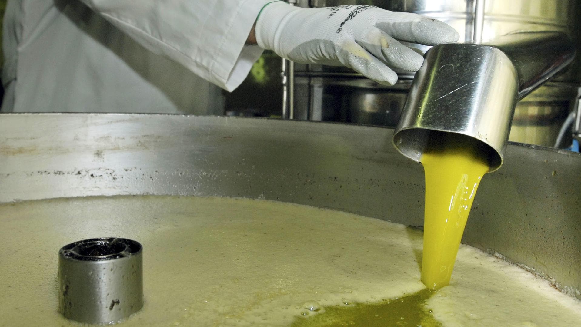 La salute consiglia di non consumare queste 12 marche di olio etichettate come extravergine o olio d’oliva leggero