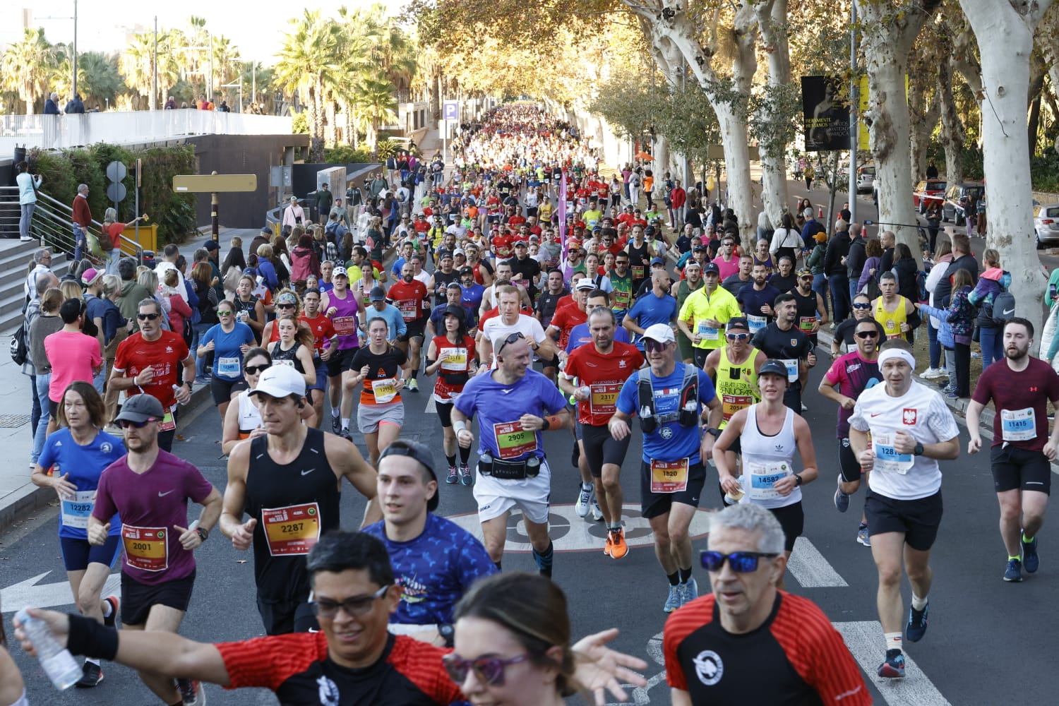 Las mejores imágenes del Maratón de Málaga 2023