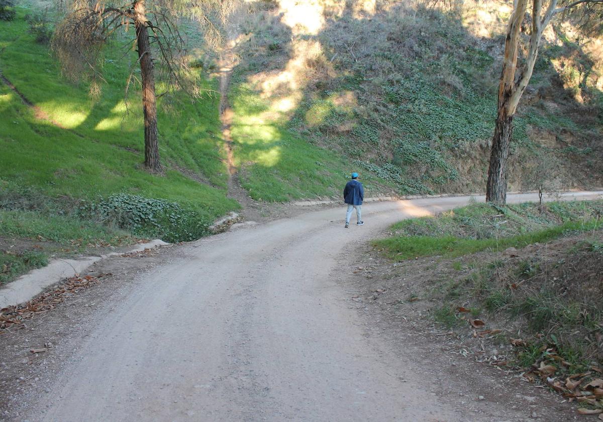 Buena parte del recorrido discurre por zona de umbría