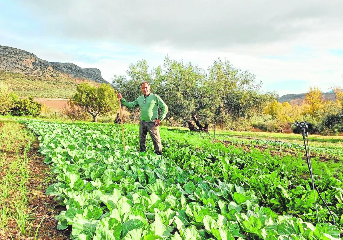 El coordinador del proyecto de Extiercol, Juan Carlos Nieblas, en la huerta.