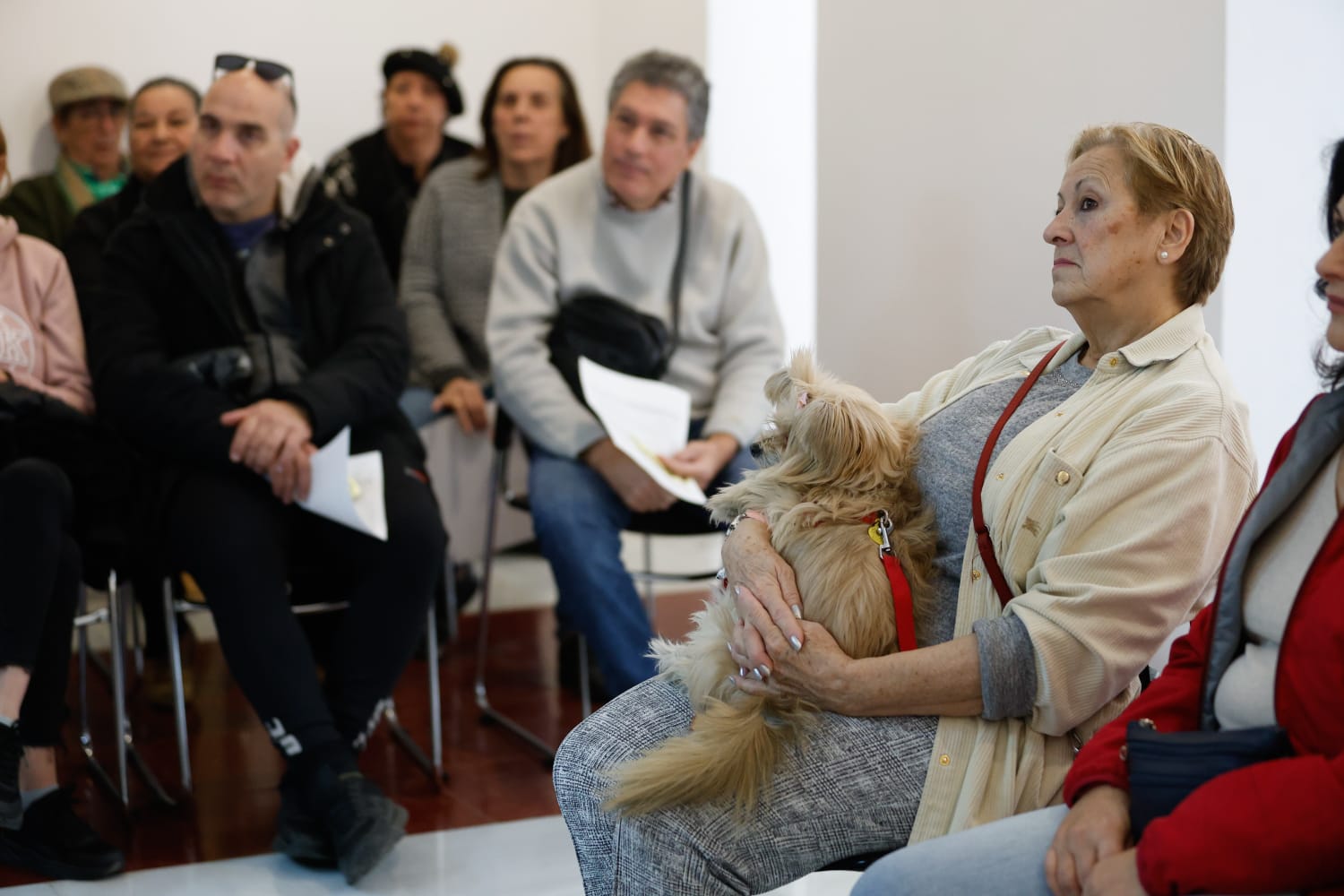 Casting de figuración de la segunda temporada de &#039;La chica de nieve&#039; en Málaga