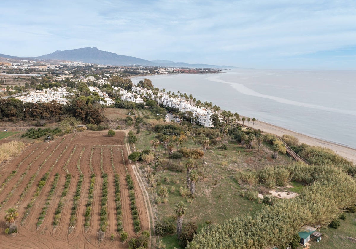 Terrenos destinados a la futura desaladora, junto a la desembocadura del Castor.