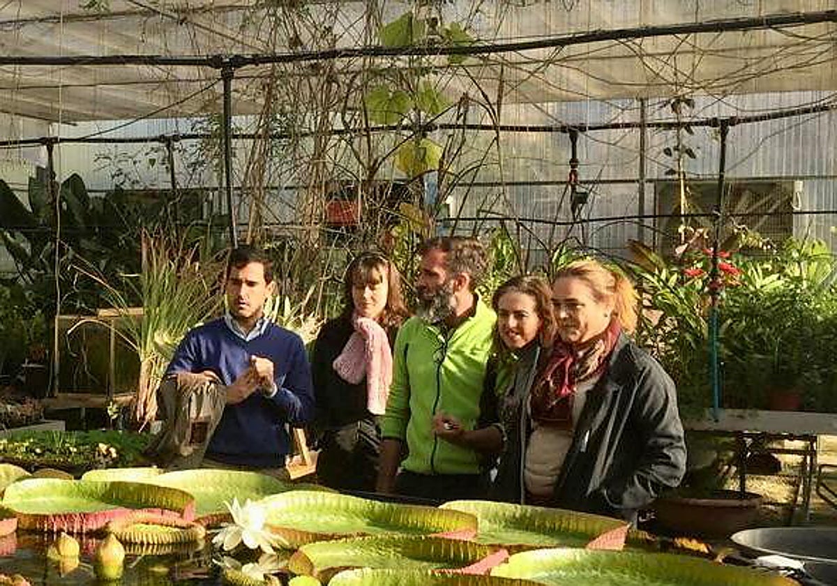 Gutiérrez del Álamo (izquierda) junto a los técnicos de La Concepción, que consiguieron replicar este nenúfar gigante, la 'Victoria cruziana'