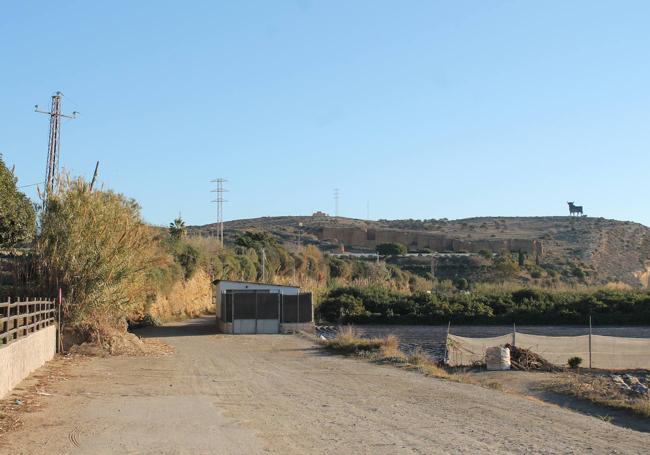 Camino que lleva desde Almayate a los pies del cerro donde está el Toro de Osborne