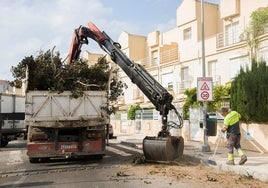 Un operario municipal de Torremolinos, apoyado por maquinaria, atiende un servicio de poda.