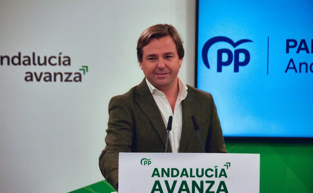 Antonio Repullo, secretario general del PP-A. 