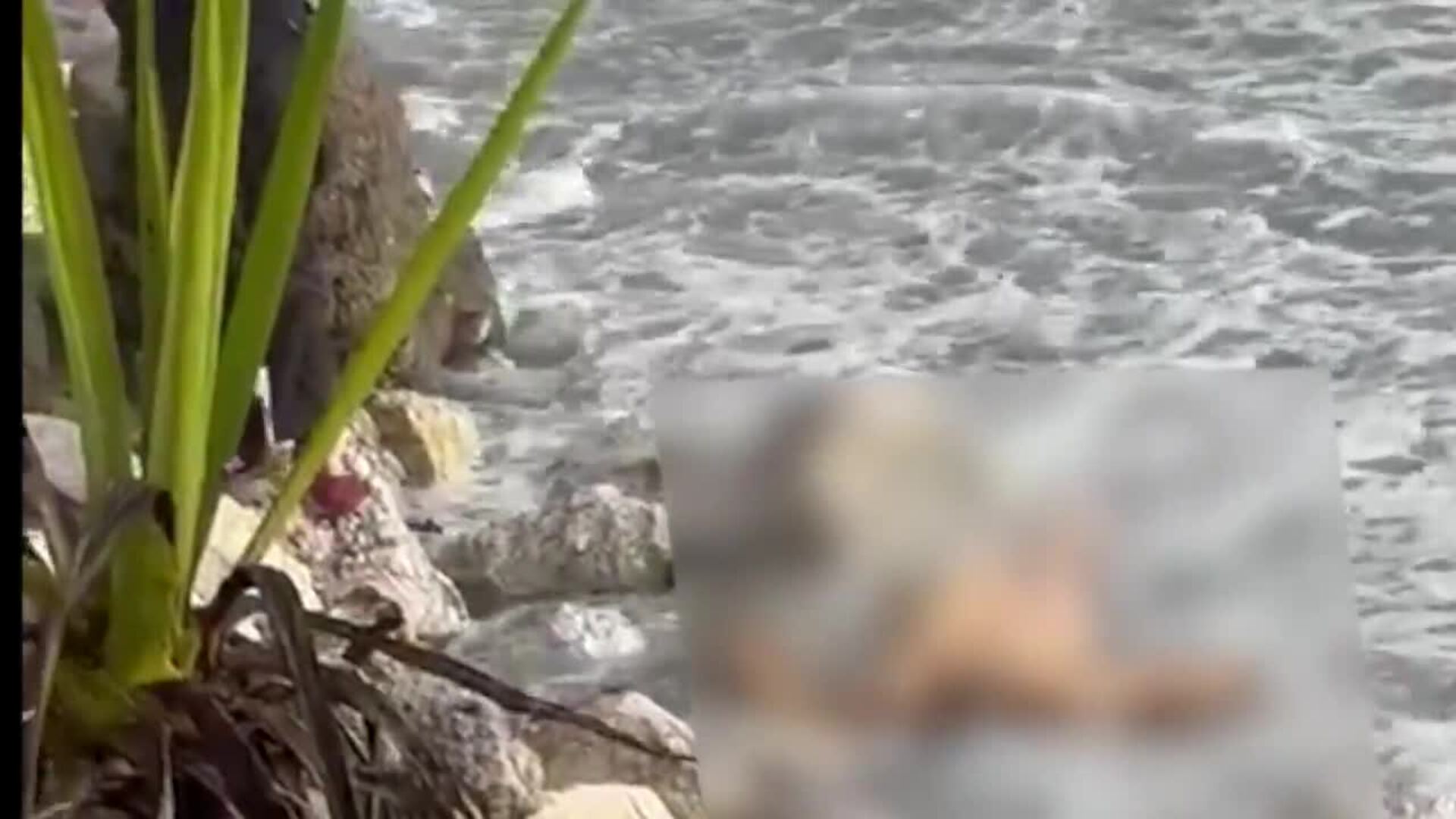 Tratan de identificar al cadáver que apareció decapitado en Marbella