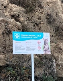 Imagen secundaria 2 - Las colonias felinas de Torremolinos, el peculiar &#039;hogar&#039; de los gatos callejeros