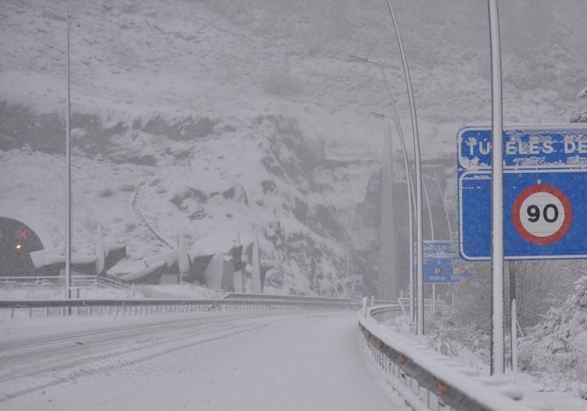 Nevadas