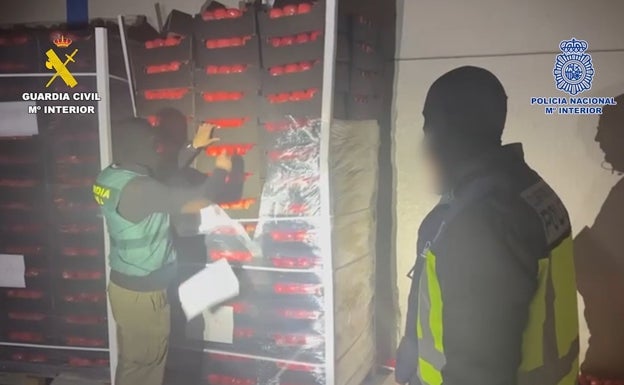 Sucesos Málaga: Golpe al narcotráfico en Málaga: intervienen 22 toneladas de hachís en falsos tomates