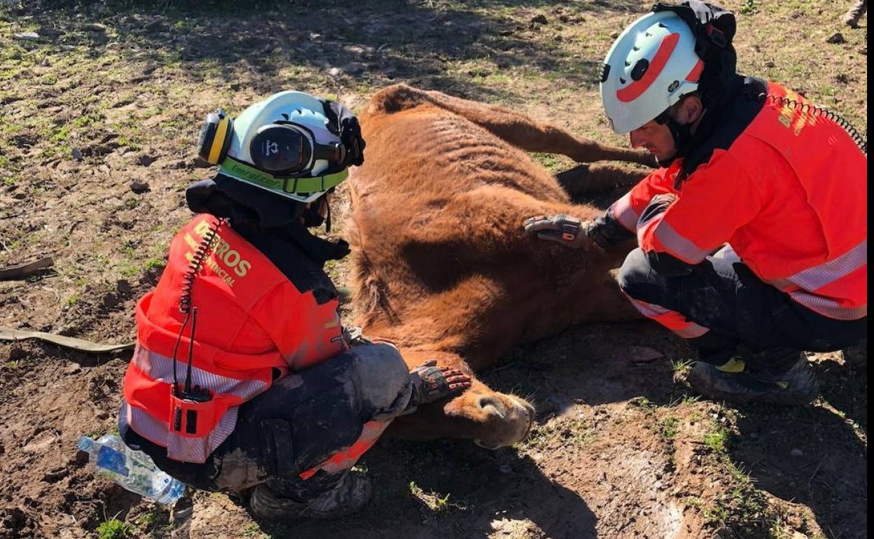 Dos de los bomberos que han participado en el rescate del animal. 